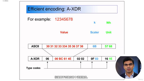 IEC 62056 DLMS-COSEM智能电表通信协议从入门到精通 (英文课程中文字幕)