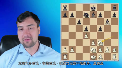 [中字] 斯维尔茨的 1.d4 国际象棋开局教程（第二部分）