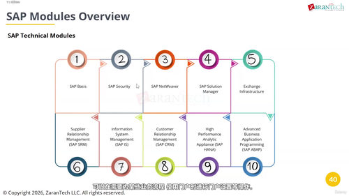 SAP入门到精通:系统掌握企业ERP核心知识 (英文课程中文字幕)