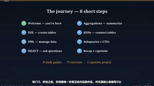 分析师实战SQL：从零基础到CTE (英文课程中文字幕)