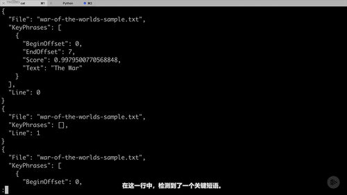 在AWS上用Amazon Comprehend做文本分析 (英文课程中文字幕)