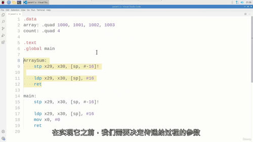 [中字] 树莓派 Arm 64 位汇编语言实战教程（中文字幕