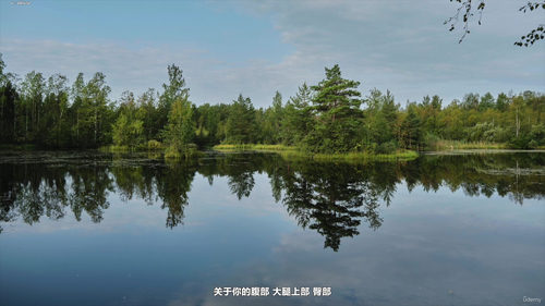 忙碌人的正念课：用几分钟找回平静与专注 (英文课程中文字幕)