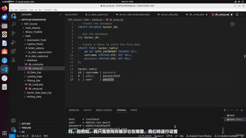 打造自己的安全武器库：进攻性安全编程实战 (英文课程中文字幕)
