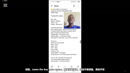 斯瓦希里语旅行速成:五十个必备短语带你畅游东非 (英文课程中文字幕)