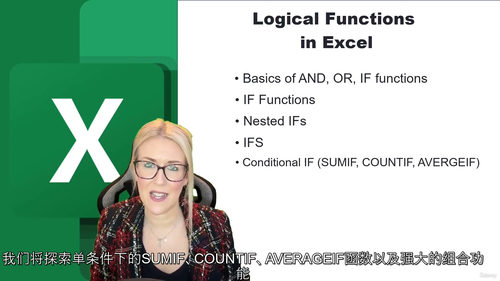 [中字] Excel 逻辑函数实战宝典：从基础到进阶的高效数