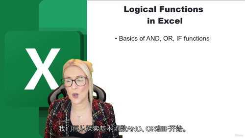 [中字] Excel 逻辑函数实战宝典：从基础到进阶的高效数