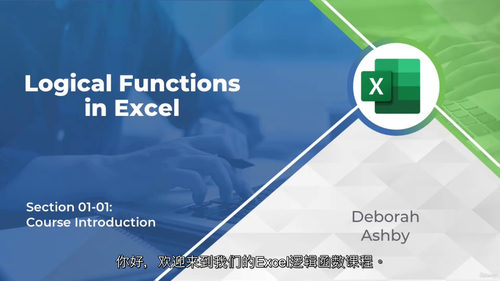 [中字] Excel 逻辑函数实战宝典：从基础到进阶的高效数