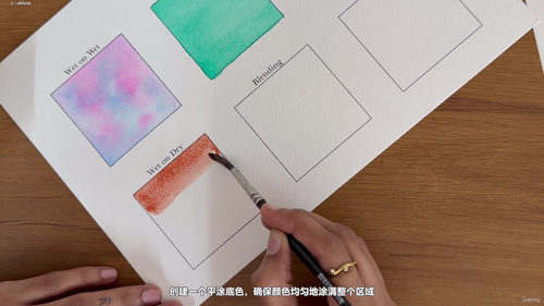 水彩入门：从零开始掌握六种技法，画一幅海龟画 (英文课程中文字幕)