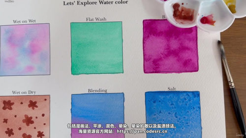 水彩入门：从零开始掌握六种技法，画一幅海龟画 (英文课程中文字幕)