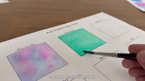 水彩入门：从零开始掌握六种技法，画一幅海龟画 (英文课程中文字幕)