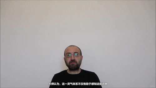 灵气双体系课程:开启直觉感知与讯息接收之门 (英文课程中文字幕)