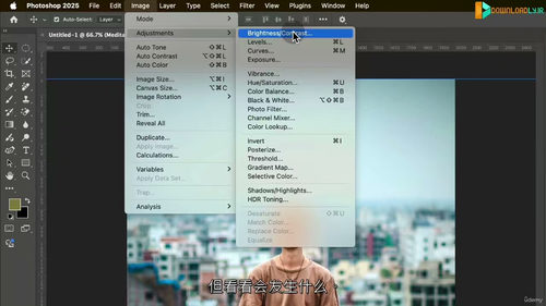 Adobe Photoshop 2025 大师课:从零到精通