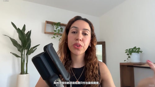 项目管理速成：敏捷与瀑布双线打通 (英文课程中文字幕)
