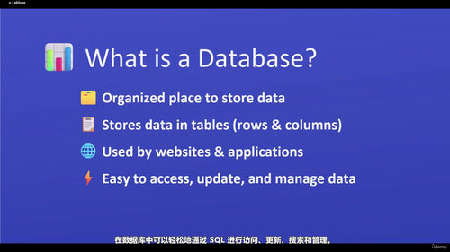 SQL零基础入门:从环境搭建到数据查询的完整路径 (英文课程中文字幕)