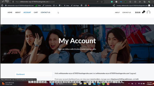 WooCommerce速卖通跨境电商入门课：从零搭建你的独立网店 (英文课程中文字幕)