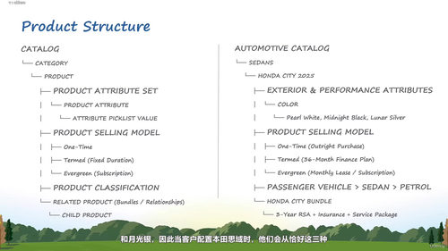 Salesforce收入云核心概念与架构解析 (英文课程中文字幕)