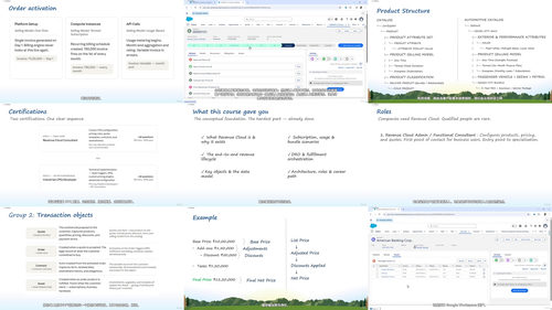 Salesforce收入云核心概念与架构解析 (英文课程中文字幕)