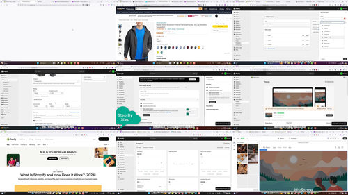 Shopify独立站速成实战课：30分钟搭建你的跨境电商店铺 (英文课程中文字幕)