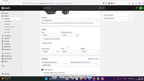 Shopify独立站速成实战课：30分钟搭建你的跨境电商店铺 (英文课程中文字幕)
