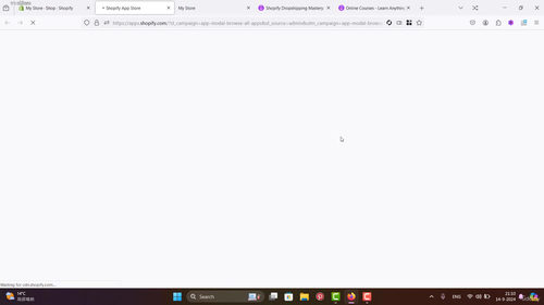 Shopify独立站速成实战课：30分钟搭建你的跨境电商店铺 (英文课程中文字幕)