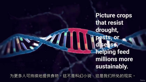 CRISPR-Cas基因编辑视频教程
