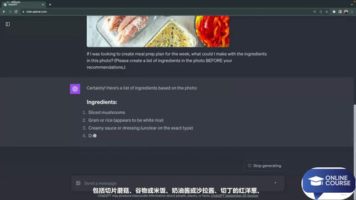 AI聊天机器人横评实战:ChatGPT、Gemini、Copilot、Claude谁更强 (英文课程中文字幕)