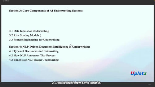 人工智能重塑保险业：从理赔到架构的全景指南 (英文课程中文字幕)