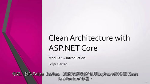 ASP.NET Core 洁净架构实战
