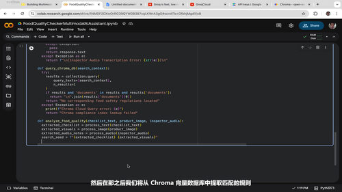 多模态AI与RAG实战:从零搭建三种智能助手 (英文课程中文字幕)