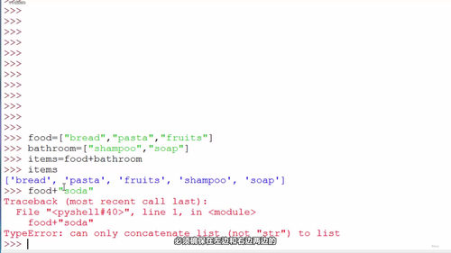 Python开发者从入门到进阶实战训练营 (英文课程中文字幕)