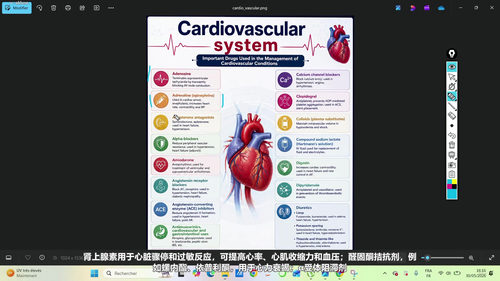 临床药理学精讲：五十五节速通常用药物 (英文课程中文字幕)