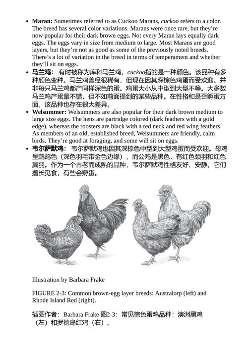 养鸡从入门到精通 金伯利·威利斯 & 罗布·卢德洛 （中英对照电子书）