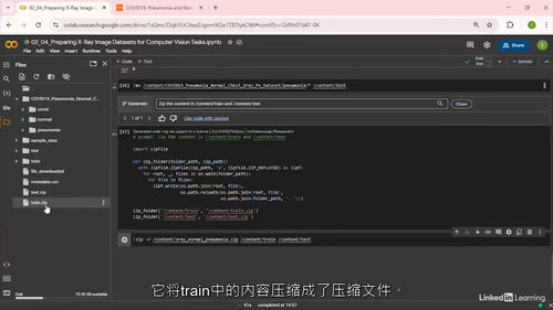 医疗健康深度学习基础(中文字幕英文视频教程)