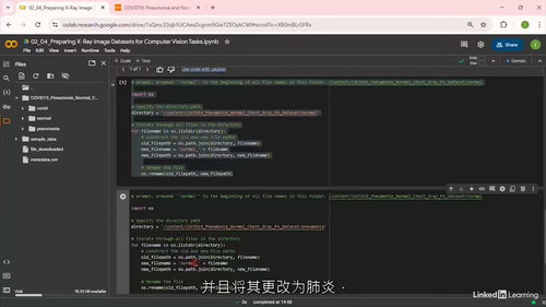 医疗健康深度学习基础(中文字幕英文视频教程)