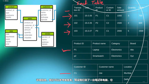 数据仓库与数据挖掘入门 (英文课程中文字幕)