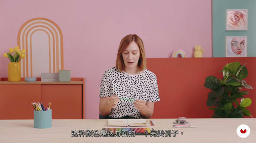 [中字] 彩色铅笔活力肖像绘制课（中文字幕英文视频教程）