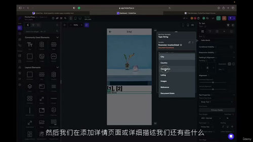 [中字] FlutterFlow 高级应用开发实战课：从零基