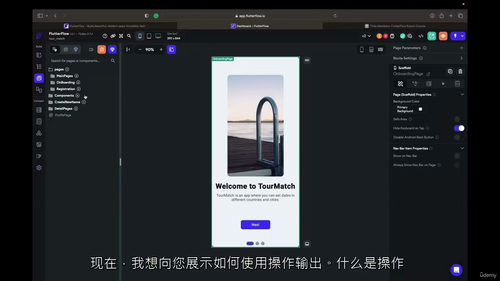 [中字] FlutterFlow 高级应用开发实战课：从零基