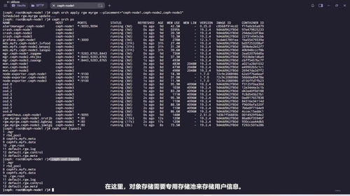 掌握Ceph存储集群:从零搭建到生产级运维 (英文课程中文字幕)