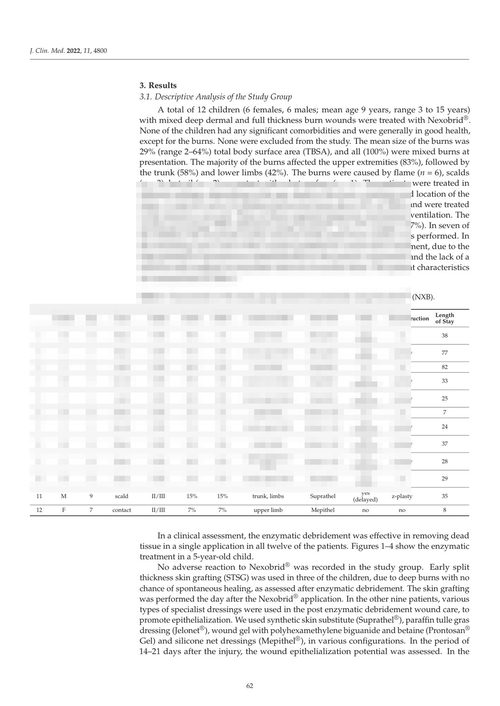 皮肤修复与再生的当前挑战与进展 乔瓦尼·萨尔扎诺 (英文电子书)