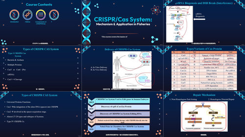 CRISPR-Cas系统机制详解 (英文课程中文字幕)