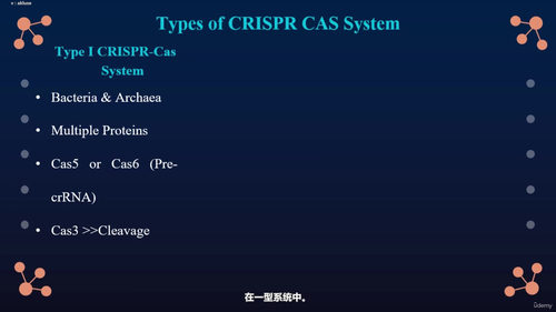 CRISPR-Cas系统机制详解 (英文课程中文字幕)