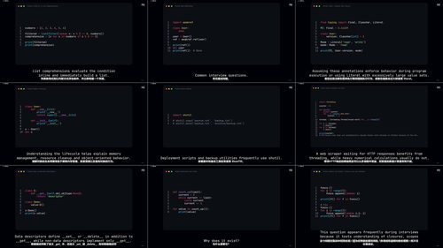 Python面试核心知识点精讲 (英文课程中文字幕)
