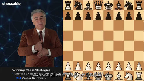 制胜国际象棋策略 —— 特级大师亚西尔・塞拉万课程（中文字幕