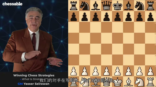 制胜国际象棋策略 —— 特级大师亚西尔・塞拉万课程（中文字幕