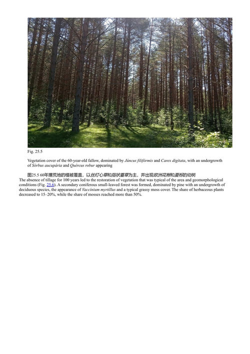 可持续景观的土壤科学进展 洛塔尔·穆勒 (中英对照电子书)