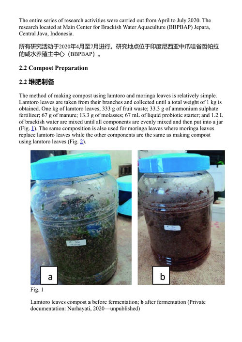 堆肥与液体有机肥料：生产技术与施用 阿布·扎里姆·亚瑟尔等 (中英对照电子书)