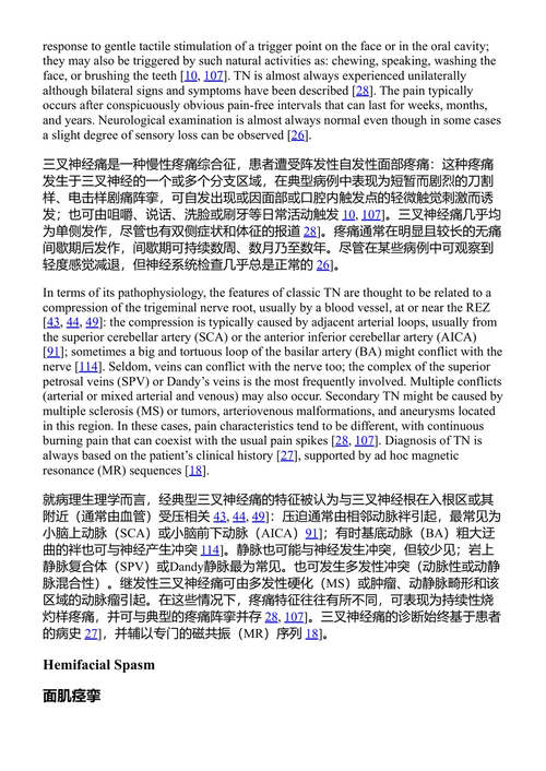 神经外科的进展与技术标准（第56卷） 康西齐奥·迪·罗科 主编 (中英对照电子书)