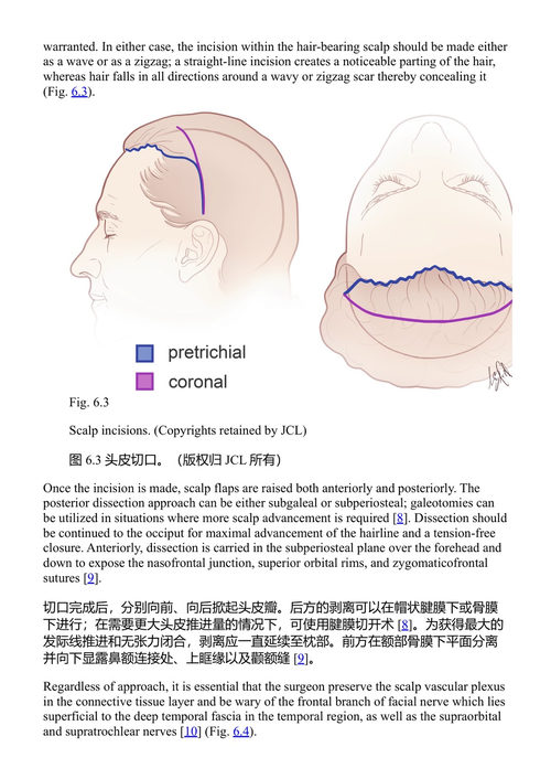 面部女性化手术：手术技术与临床考量 贾斯汀·C·李、苏蒙·凯特帕尔 (中英对照电子书)